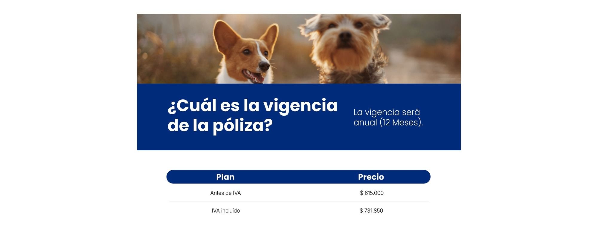 Mascota Segura Básico - imagen 2