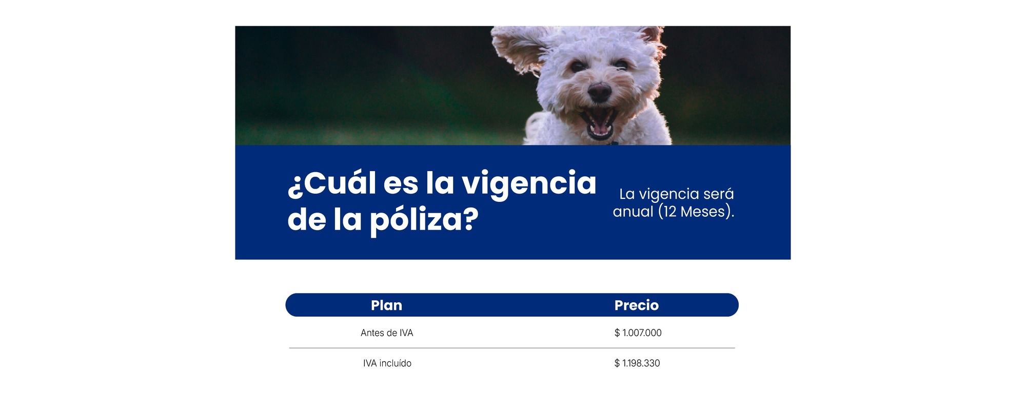 Mascota Segura Premium - imagen 2